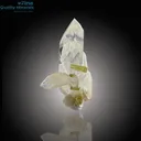 Elegant Tourmaline Paired with Quartz Fusion - image 1