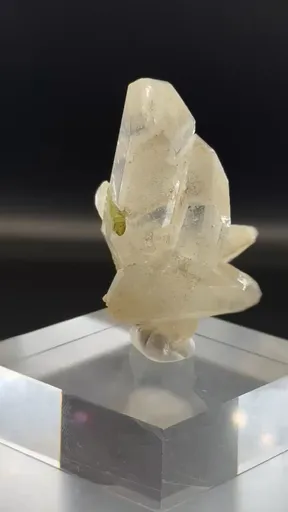 specimen video
