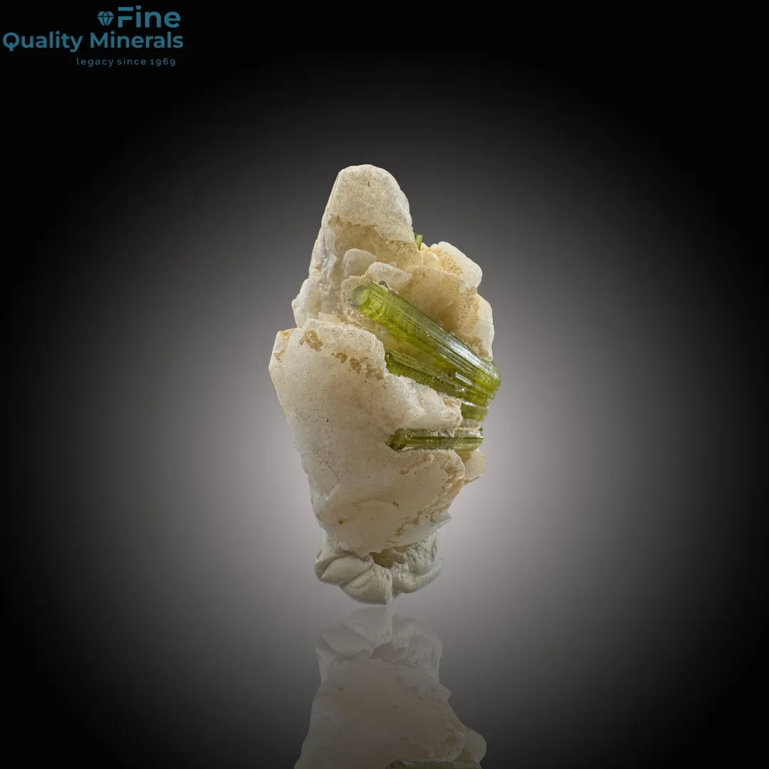 Elegant Tourmaline Resting on Feldspar - image 2