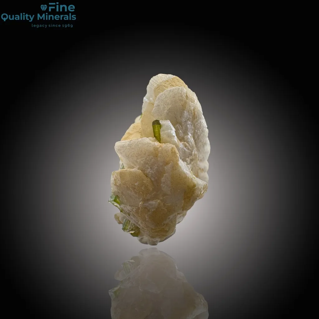 Elegant Tourmaline Resting on Feldspar - image 4