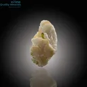 Elegant Tourmaline Resting on Feldspar - image 4