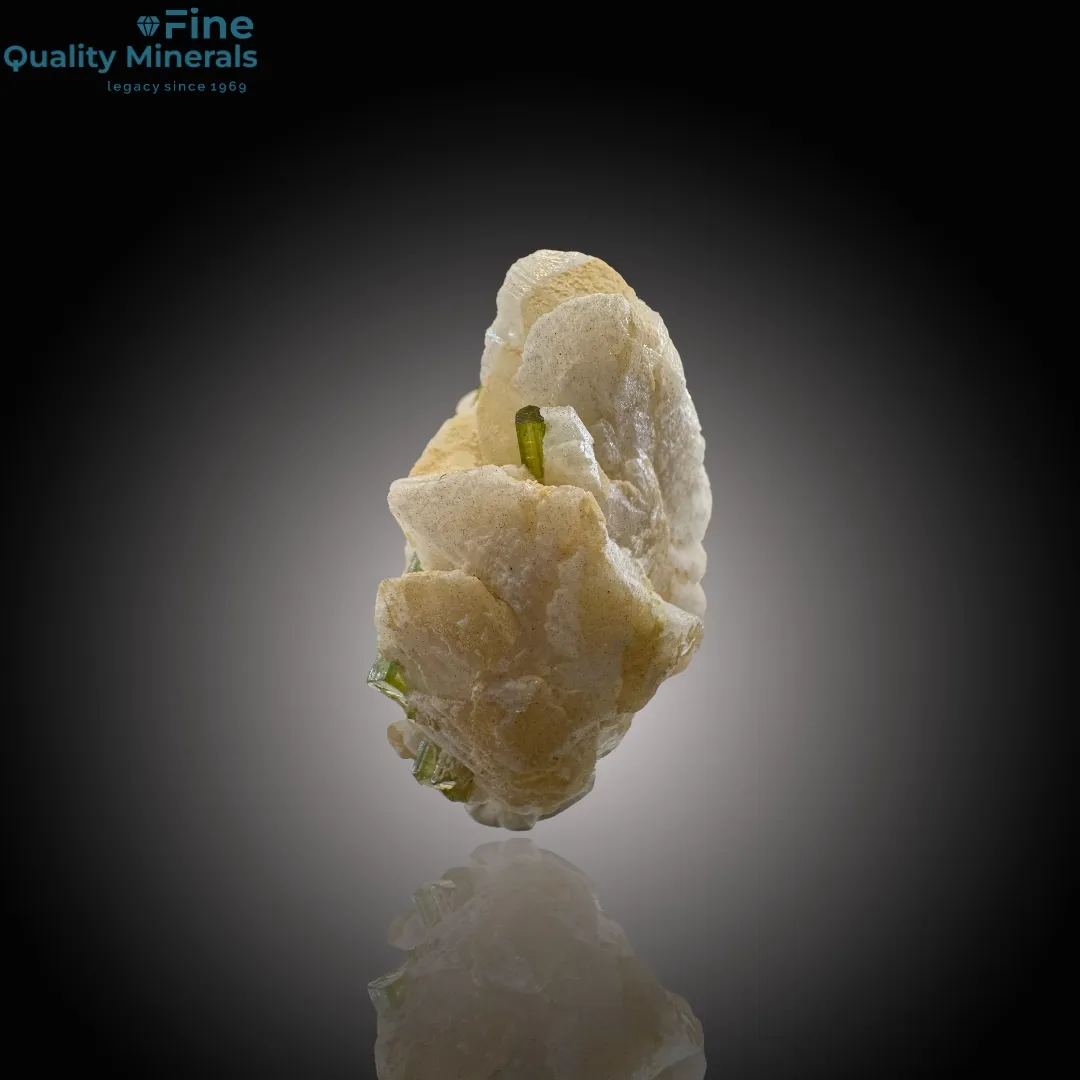 Elegant Tourmaline Resting on Feldspar - image 4