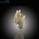 Elegant Tourmaline Resting on Feldspar - image 3