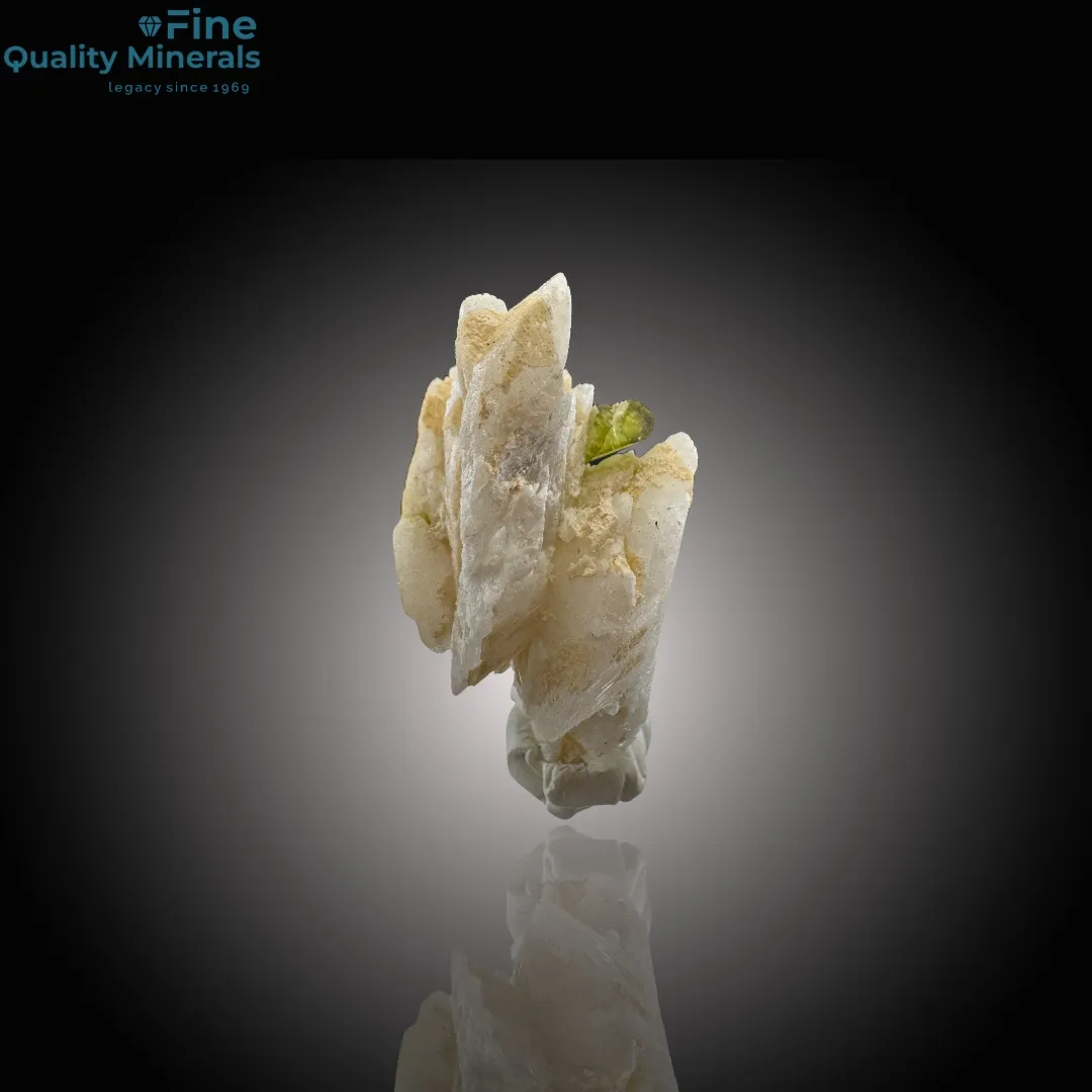 Elegant Tourmaline Resting on Feldspar - image 3