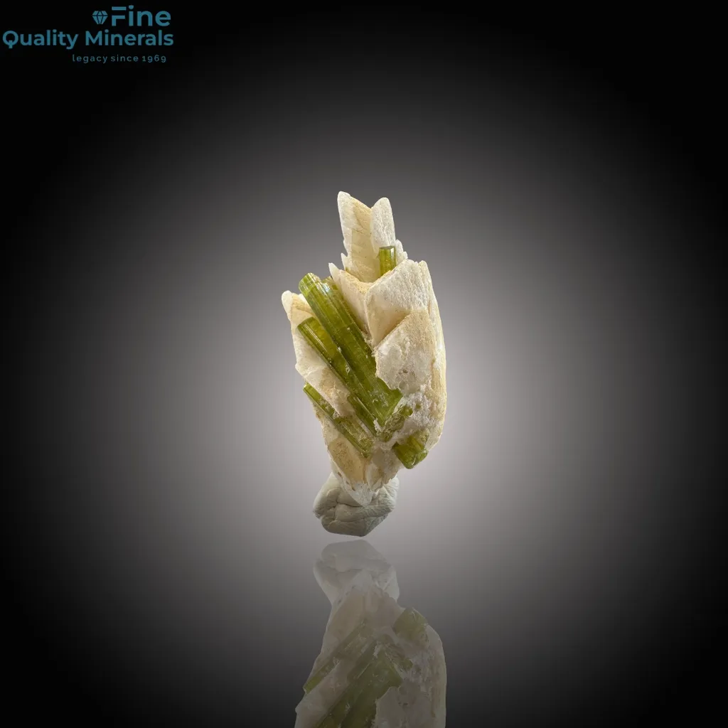 Elegant Tourmaline Resting on Feldspar image