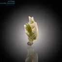 Elegant Tourmaline Resting on Feldspar - image 1