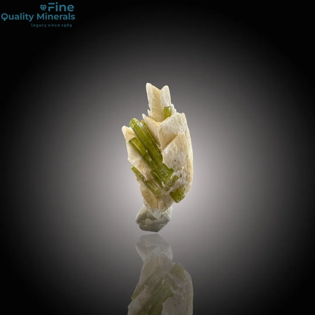 Elegant Tourmaline Resting on Feldspar - image 1