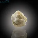 Elegant Tourmaline with Quartz on Feldspar - image 2