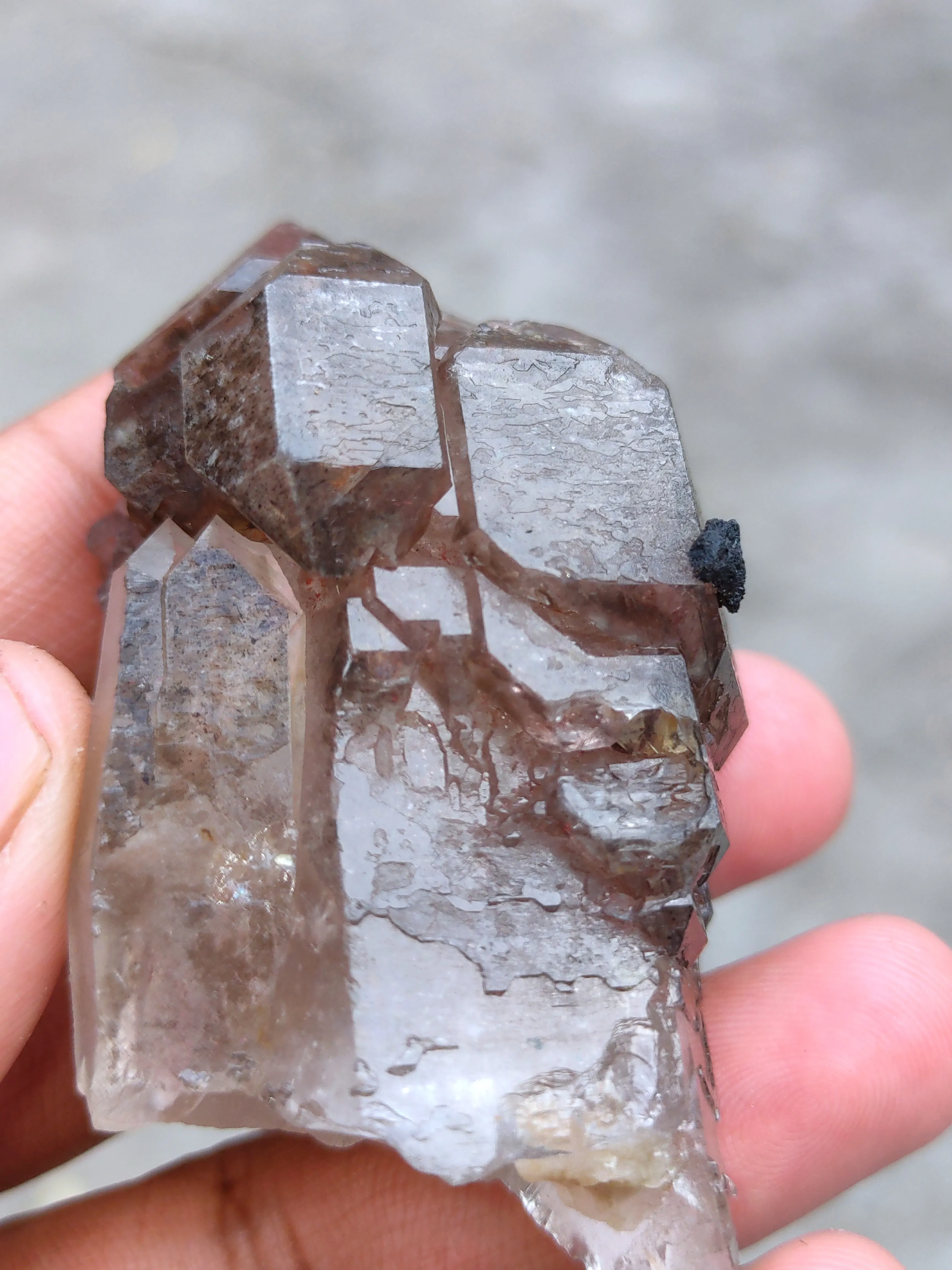 Elestial Sceptre Crystal - image 3