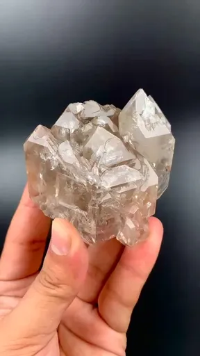 specimen video