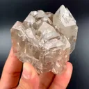 specimen video