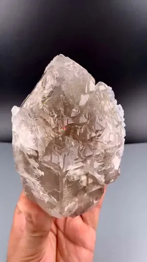 specimen video