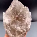 specimen video