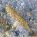 Ellestadite-(F) in Calcite - image 2