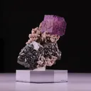 specimen video