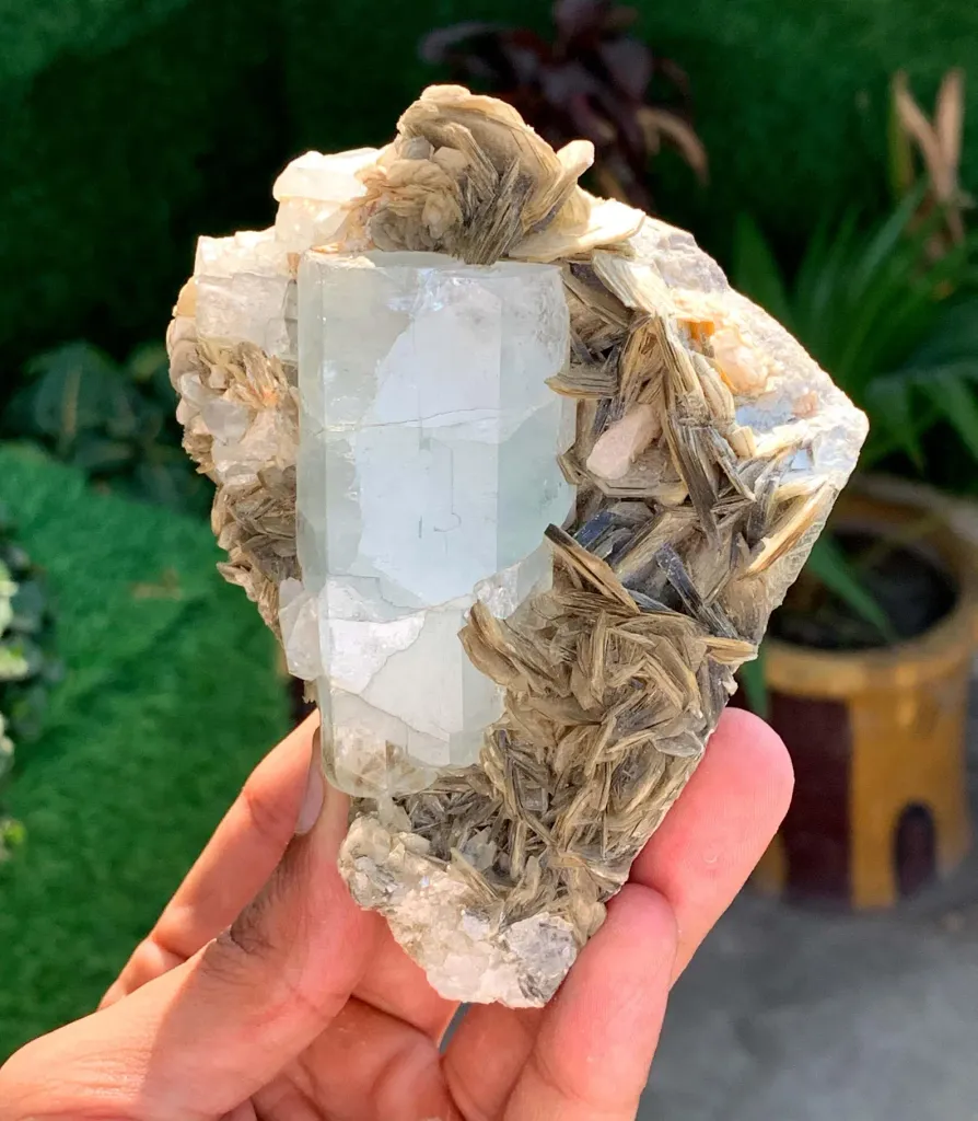 Elongated Blue Aquamarine Crystal on Muscovite Mica from Pakistan - image 3