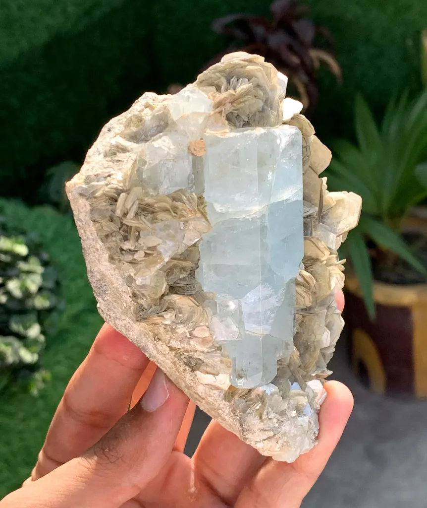 Elongated Blue Aquamarine Crystal on Muscovite Mica from Pakistan - image 5