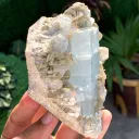 Elongated Blue Aquamarine Crystal on Muscovite Mica from Pakistan - image 8