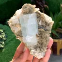 Elongated Blue Aquamarine Crystal on Muscovite Mica from Pakistan - image 6