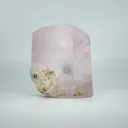 Elongated Morganite - image 3