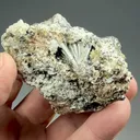 Elpidite from Poudrette Quarry - image 2