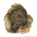Embolite (Now Chlorargyrite) From 1902 - image 1