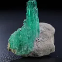 specimen video