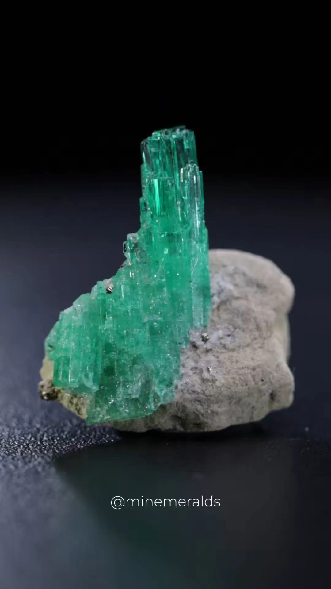 specimen video
