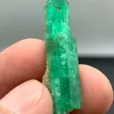 specimen video