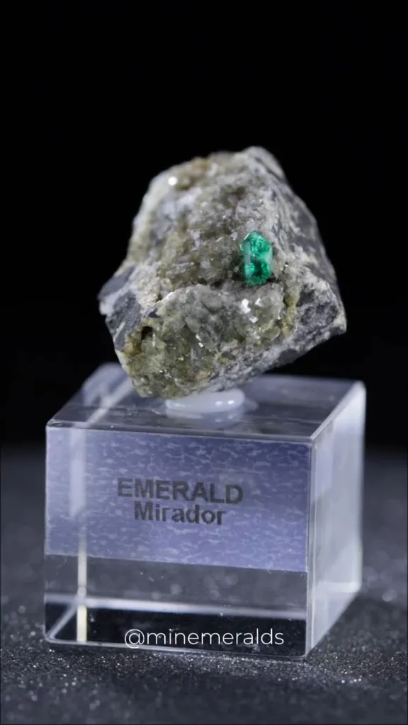 specimen video