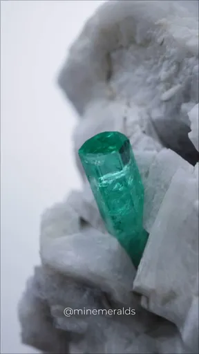 specimen video