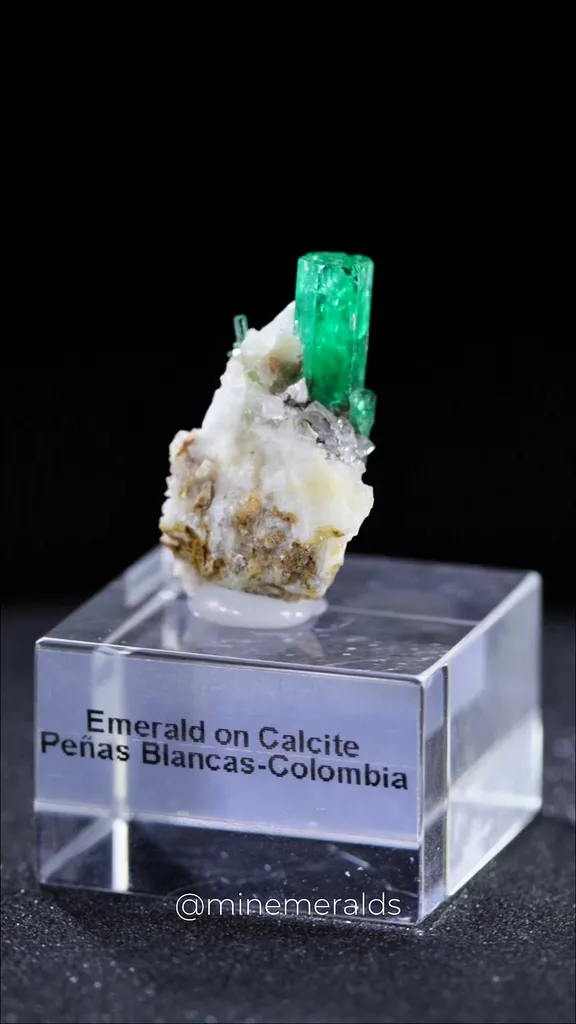 specimen video