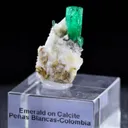 specimen video