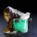 specimen video