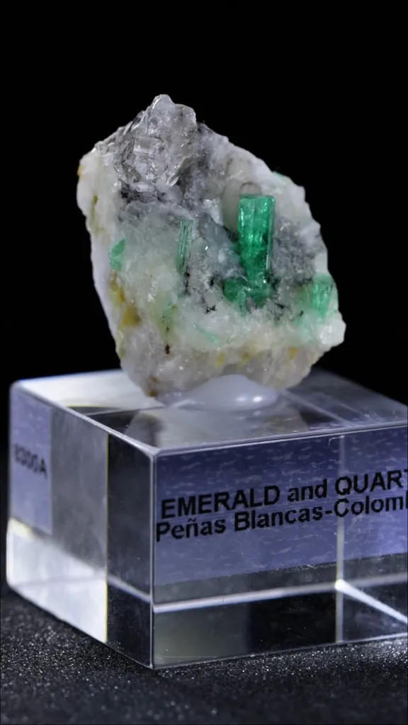 specimen video