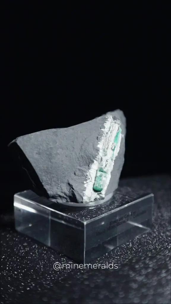 specimen video