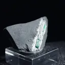 specimen video
