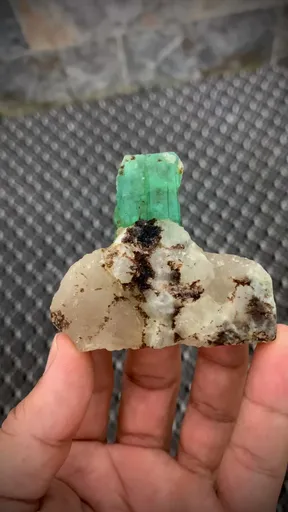 specimen video