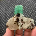 specimen video