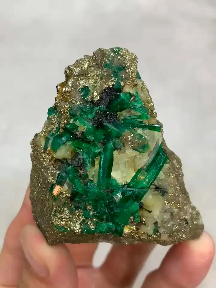 specimen video