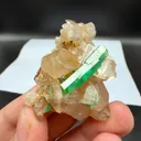 specimen video