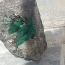 Emerald from Afghanistan, Panjshir - image 2