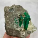 specimen video