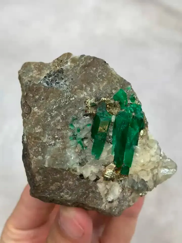specimen video