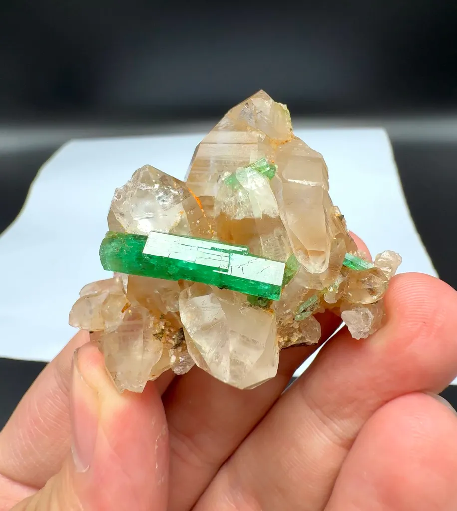 specimen video