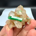 specimen video