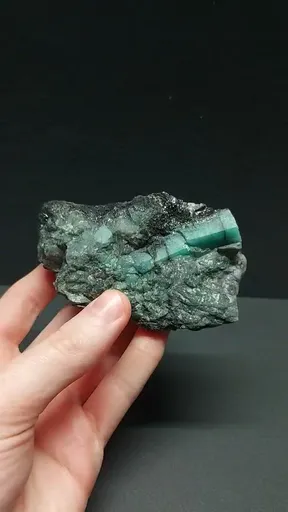 specimen video