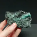 specimen video