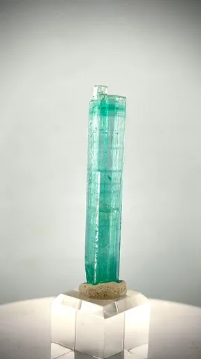 specimen video