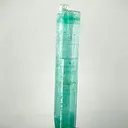 specimen video